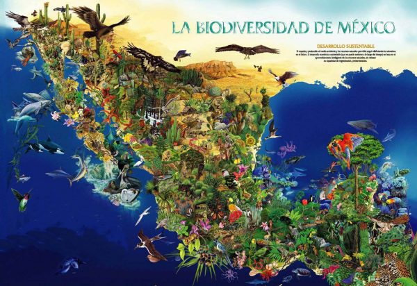 Mapa de biodiversidad de México